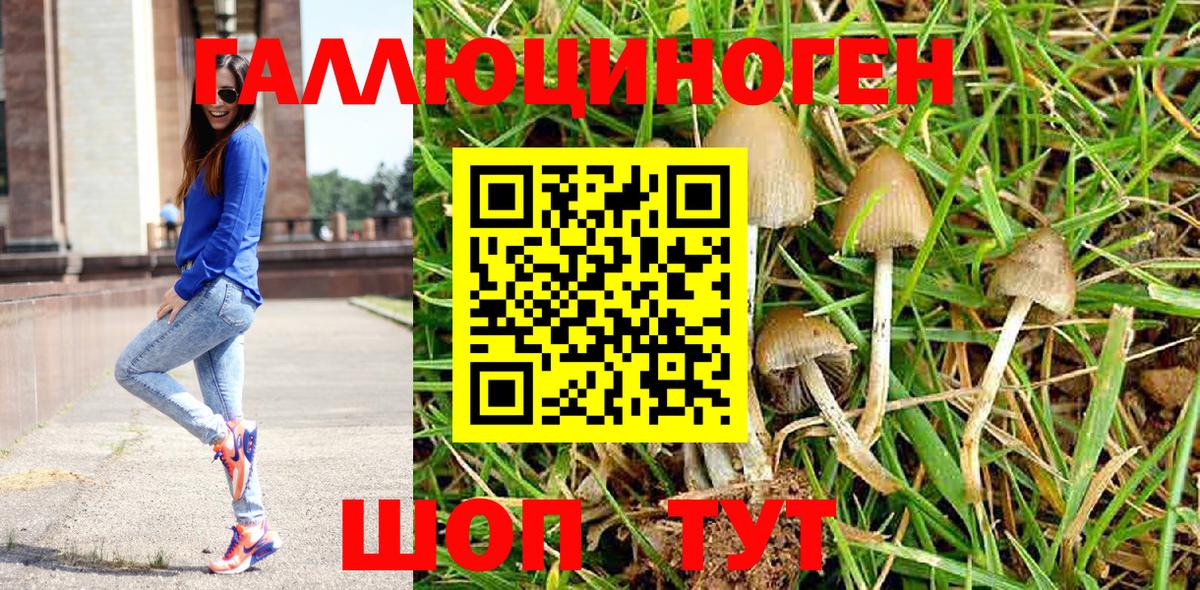 Владикавказ  где найти   Вход с VPN  Псилоцибиновые грибы мухоморы 